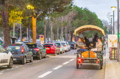 Souvenir photo Noël 2024